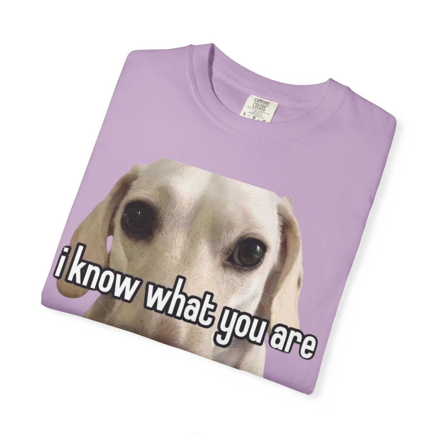 Garment-Dyed T-shirt - I know what you are