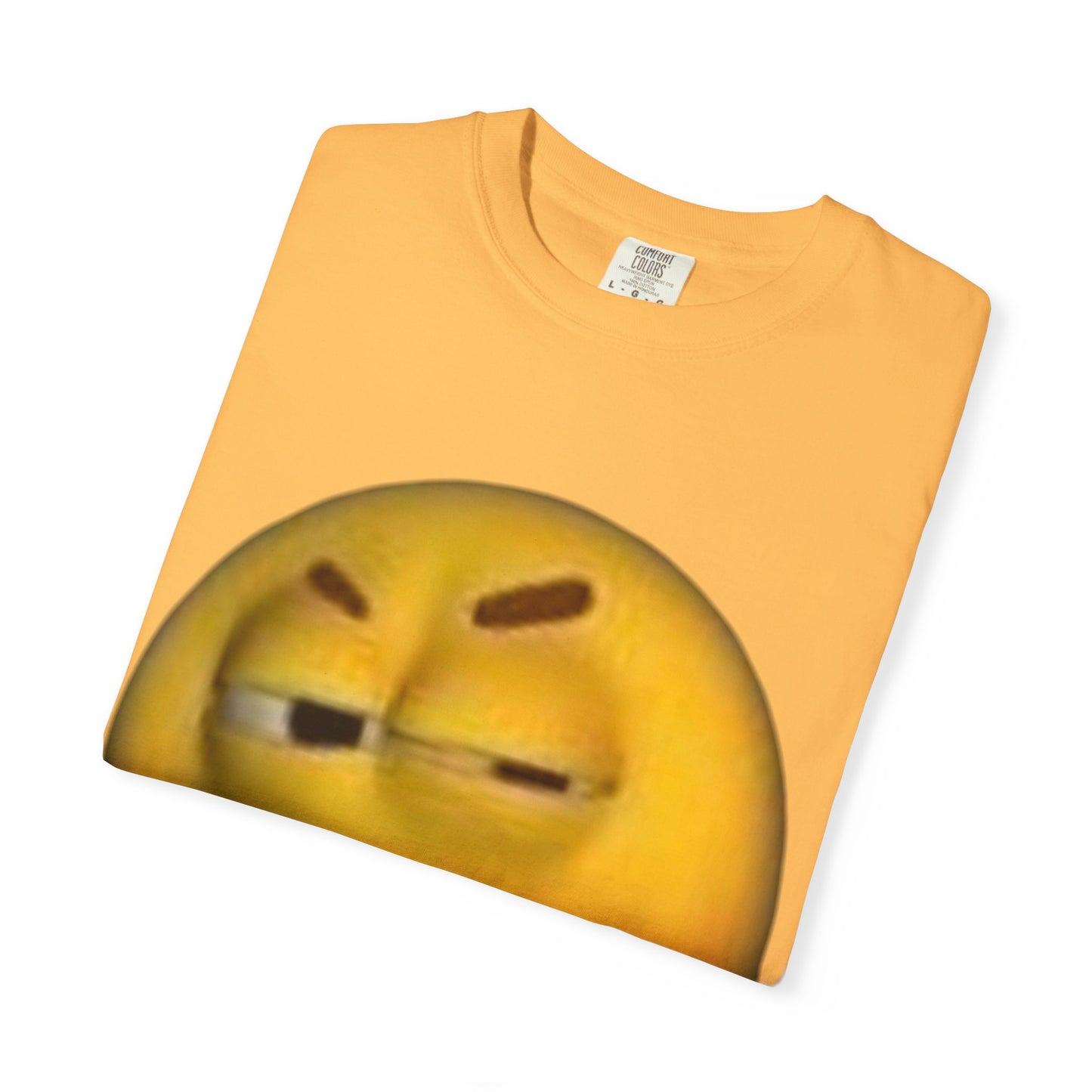 Graphic Tee - 'You disgust me'