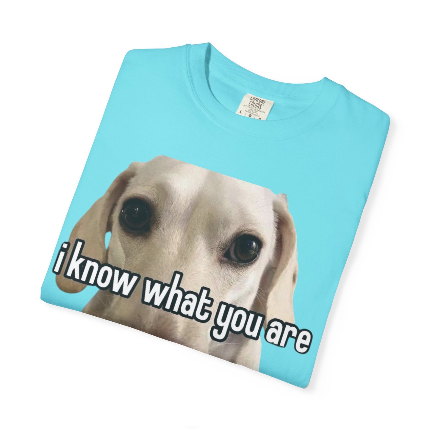 Garment-Dyed T-shirt - I know what you are
