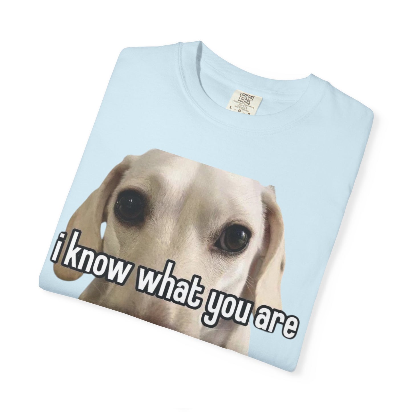 Garment-Dyed T-shirt - I know what you are