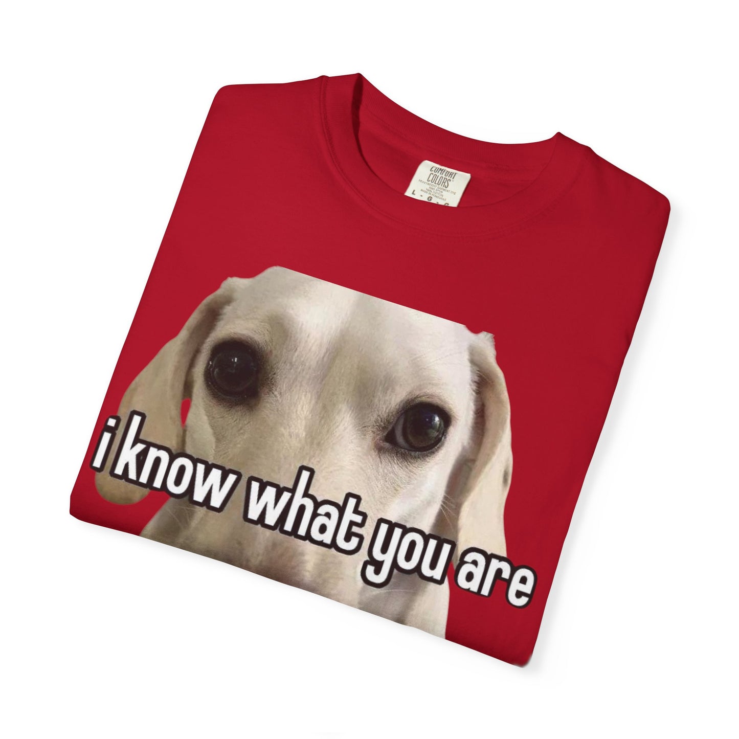 Garment-Dyed T-shirt - I know what you are