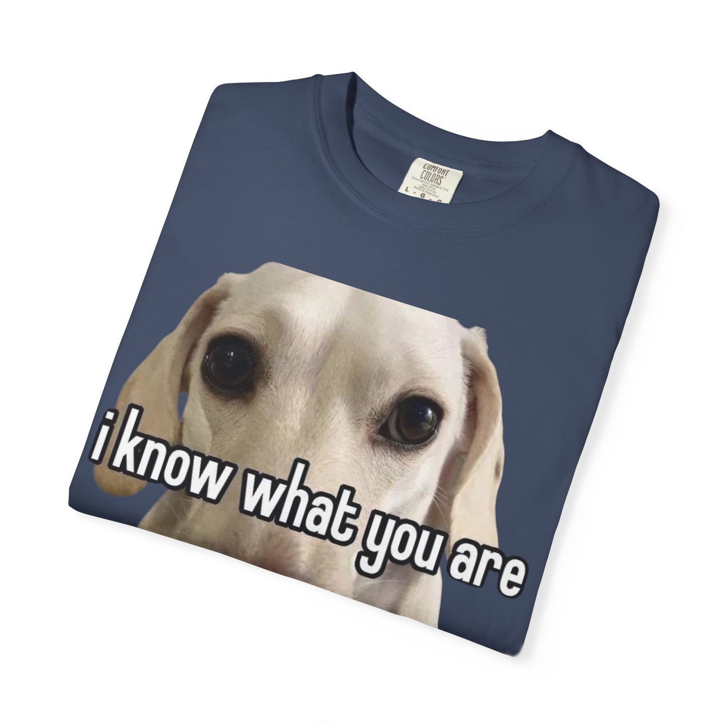 Garment-Dyed T-shirt - I know what you are