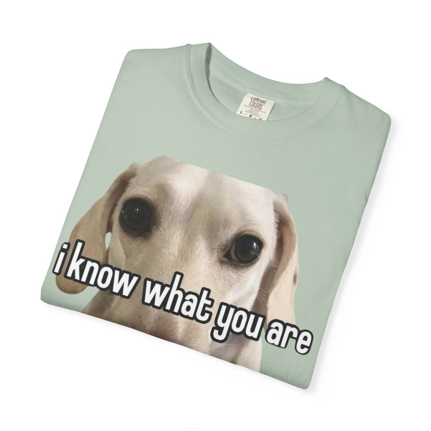 Garment-Dyed T-shirt - I know what you are