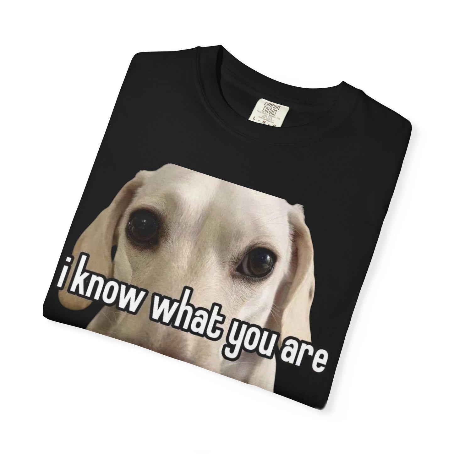Garment-Dyed T-shirt - I know what you are