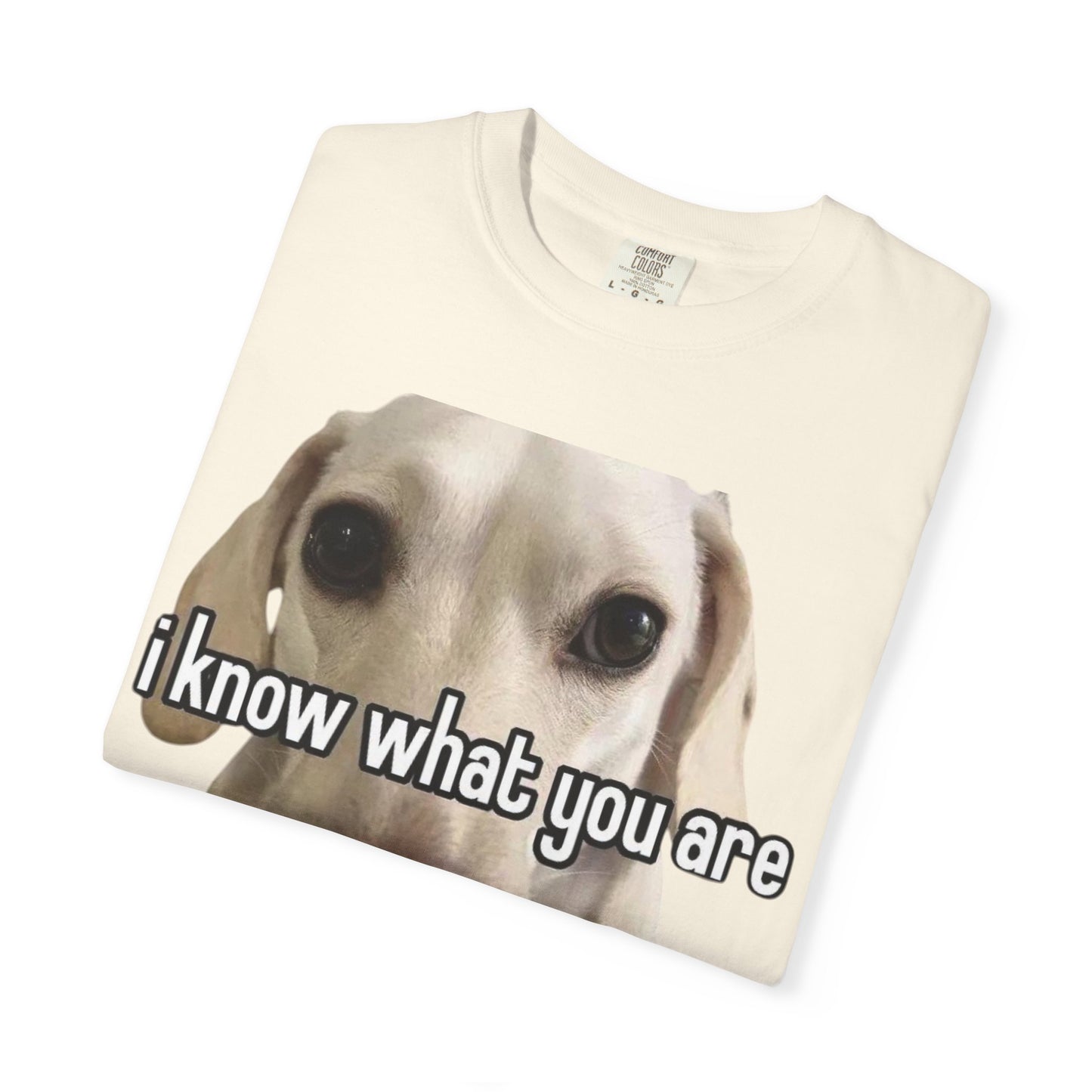 Garment-Dyed T-shirt - I know what you are