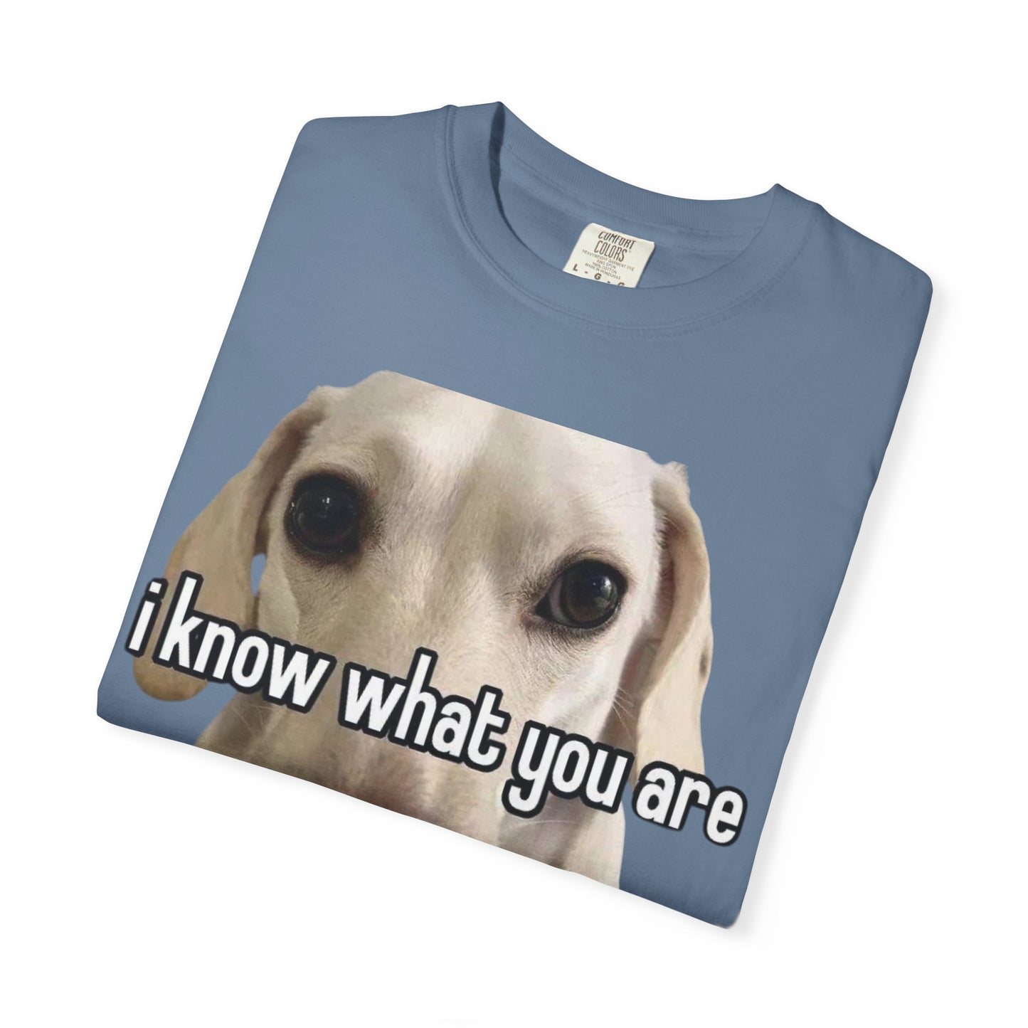 Garment-Dyed T-shirt - I know what you are