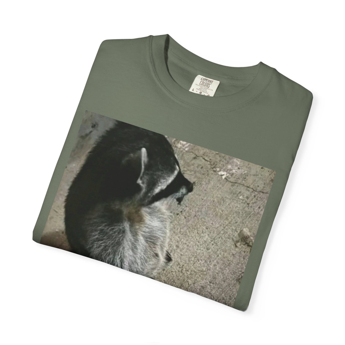 Raccoon Friend T-shirt