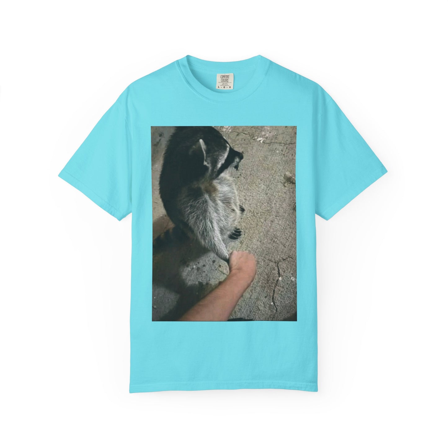 Raccoon Friend T-shirt