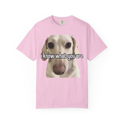 Garment-Dyed T-shirt - I know what you are