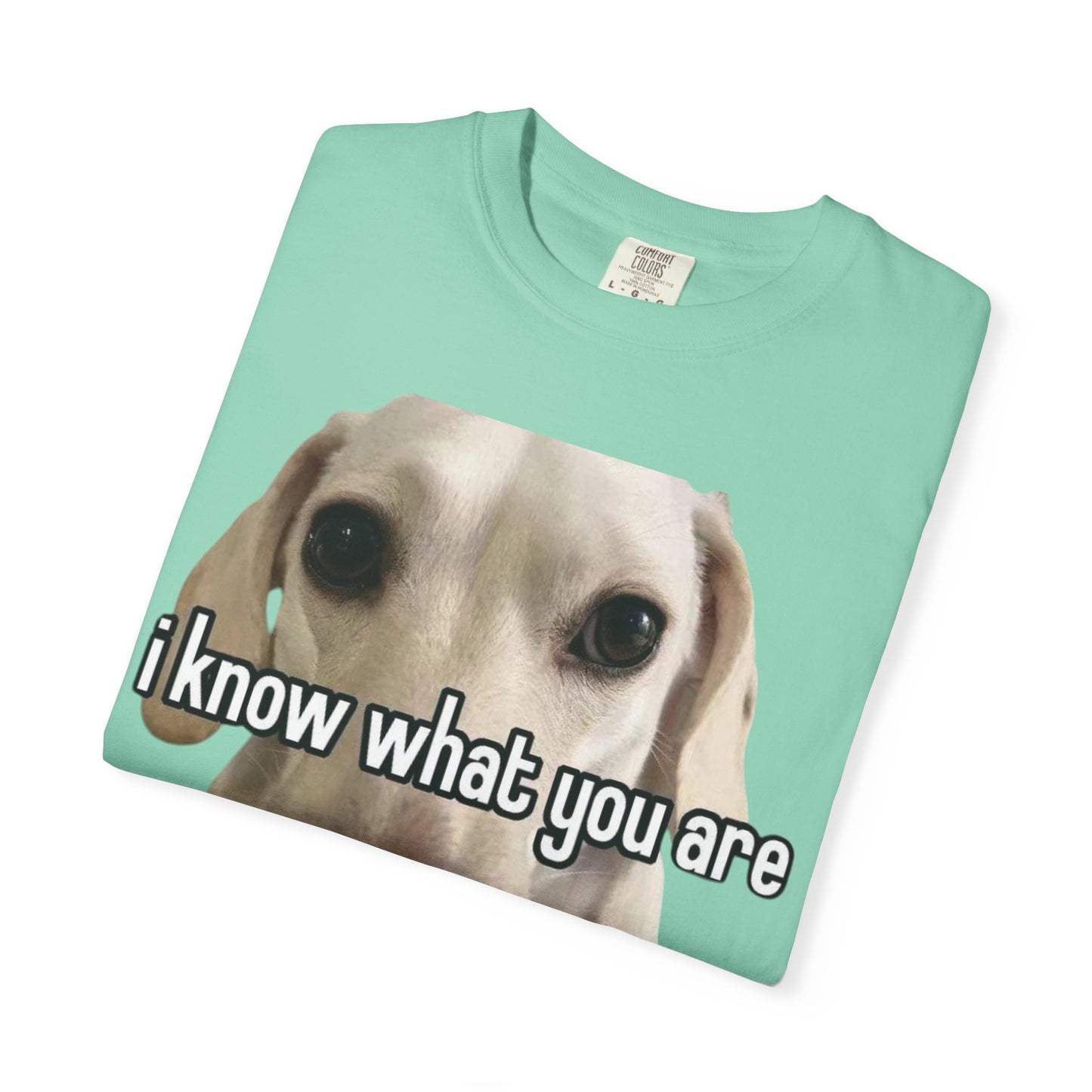 Garment-Dyed T-shirt - I know what you are