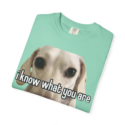 Garment-Dyed T-shirt - I know what you are