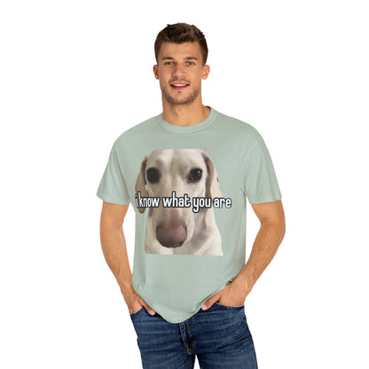 Garment-Dyed T-shirt - I know what you are