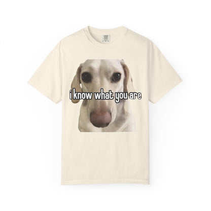 Garment-Dyed T-shirt - I know what you are