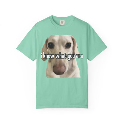 Garment-Dyed T-shirt - I know what you are