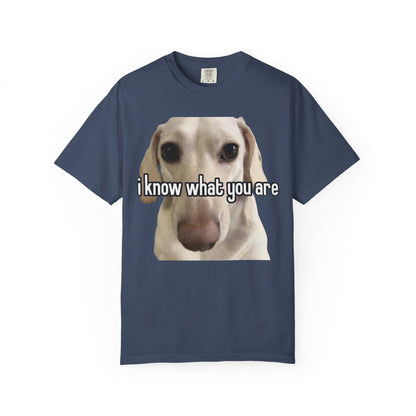 Garment-Dyed T-shirt - I know what you are