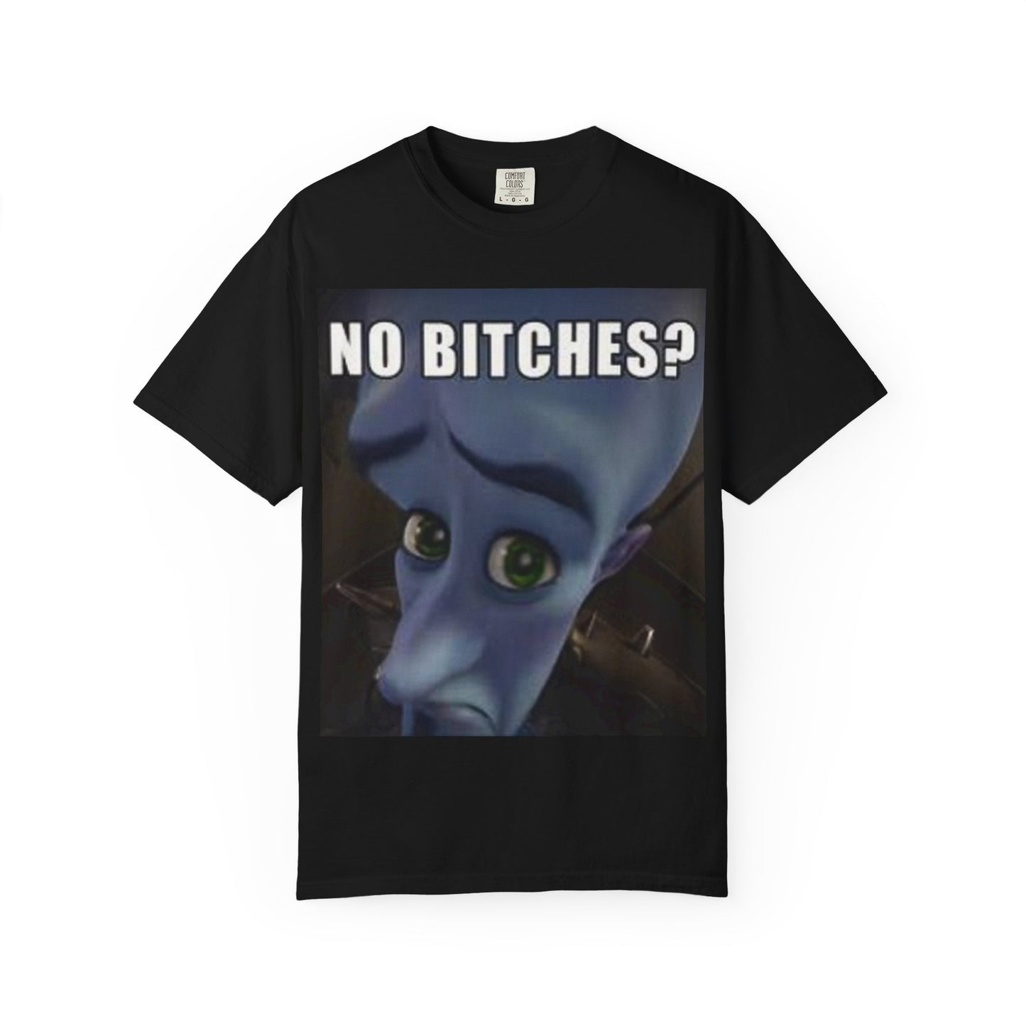 Unisex Humor megamind T-Shirt - No Bitches? Funny Casual Tee, Meme Shirt, Gift for Friends, Comfy Everyday Wear, Ideal for Casual Events