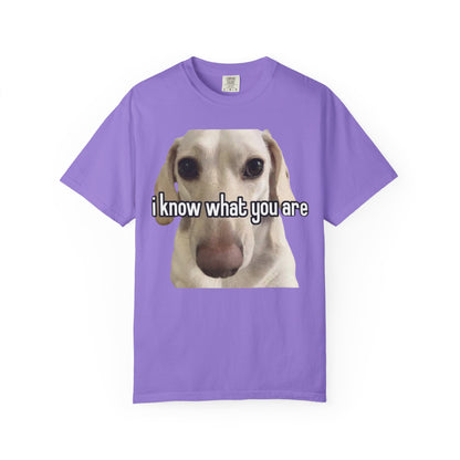 Garment-Dyed T-shirt - I know what you are