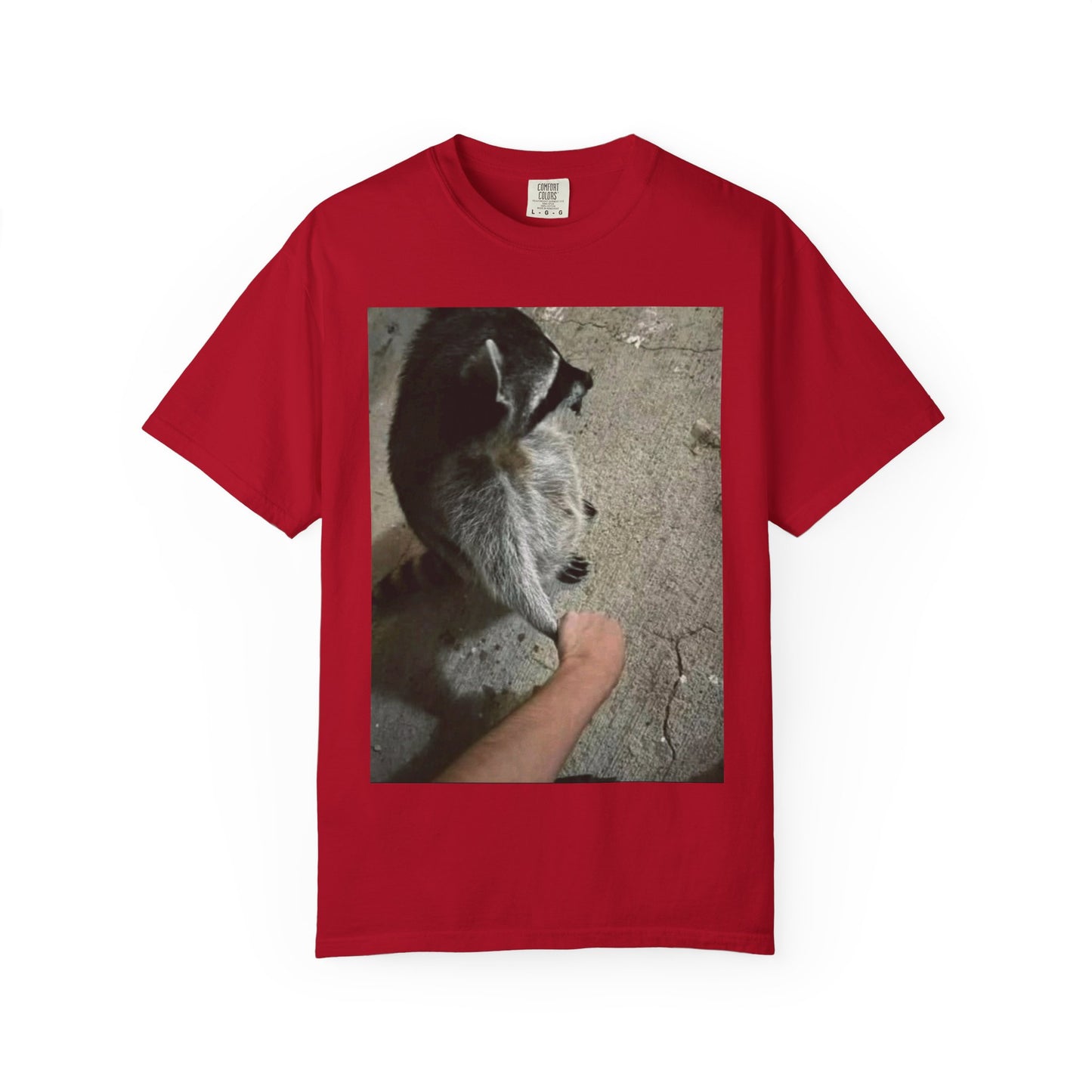 Raccoon Friend T-shirt