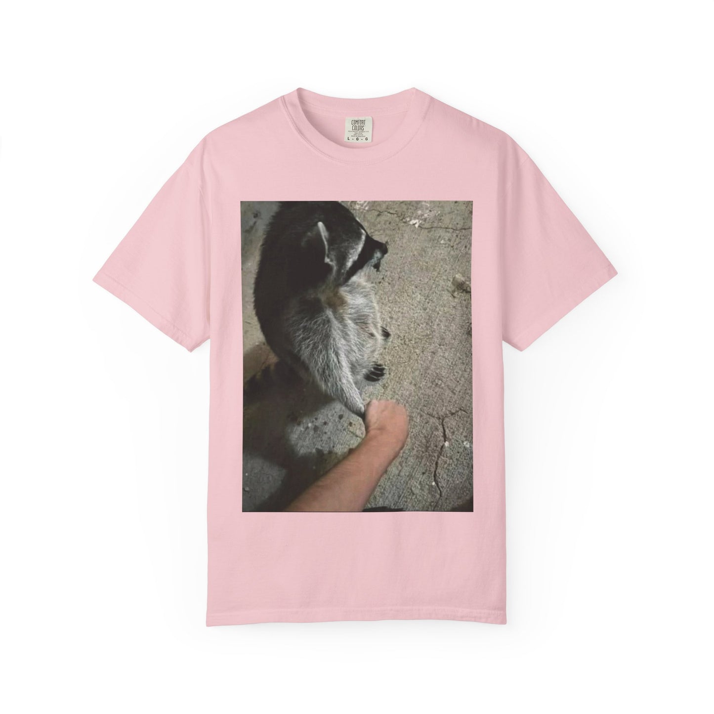 Raccoon Friend T-shirt