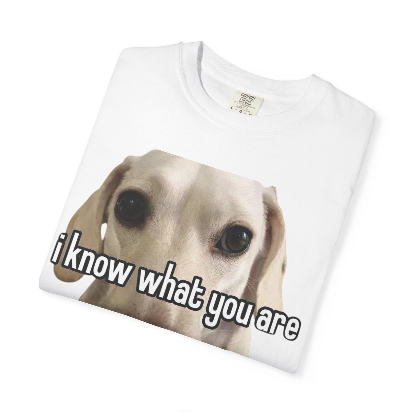 Garment-Dyed T-shirt - I know what you are