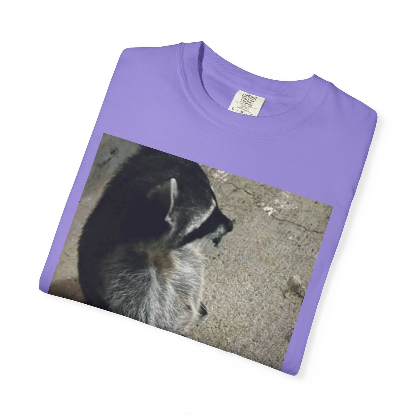 Raccoon Friend T-shirt