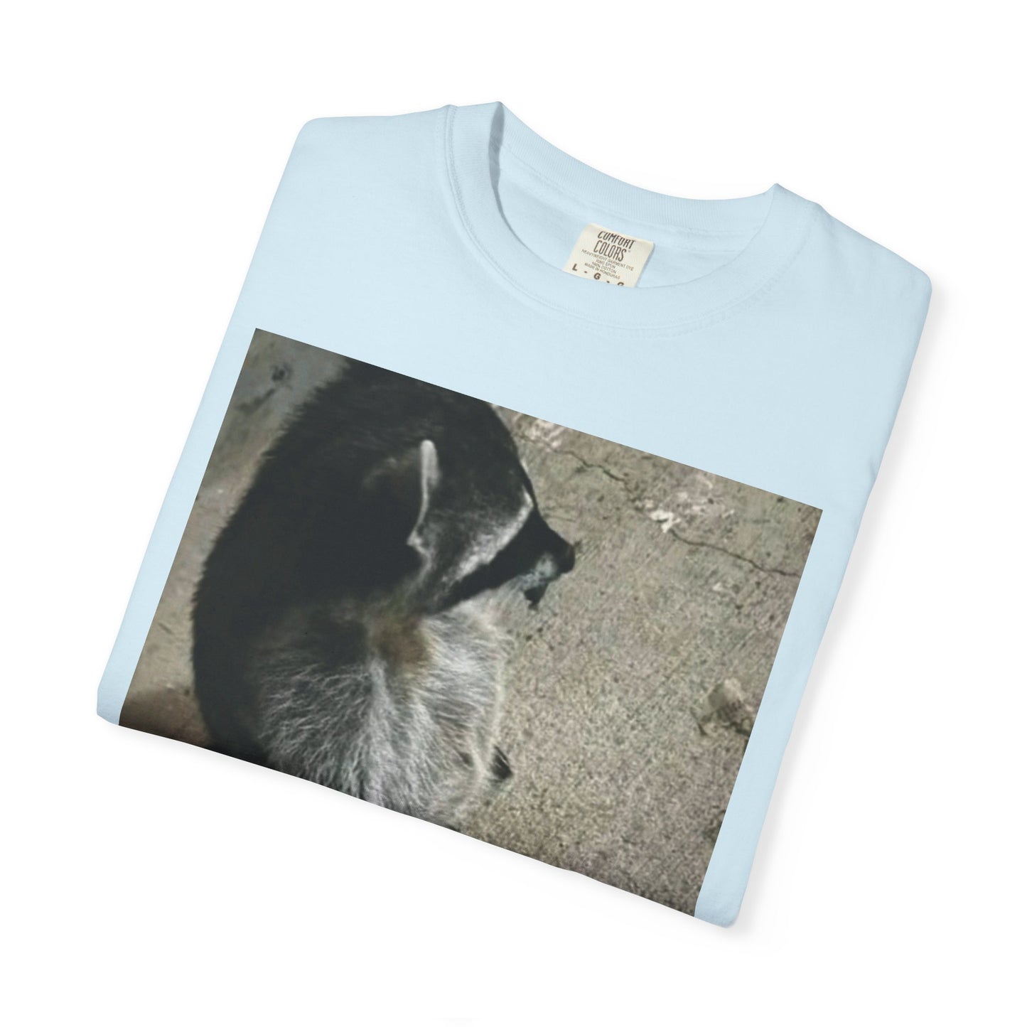 Raccoon Friend T-shirt