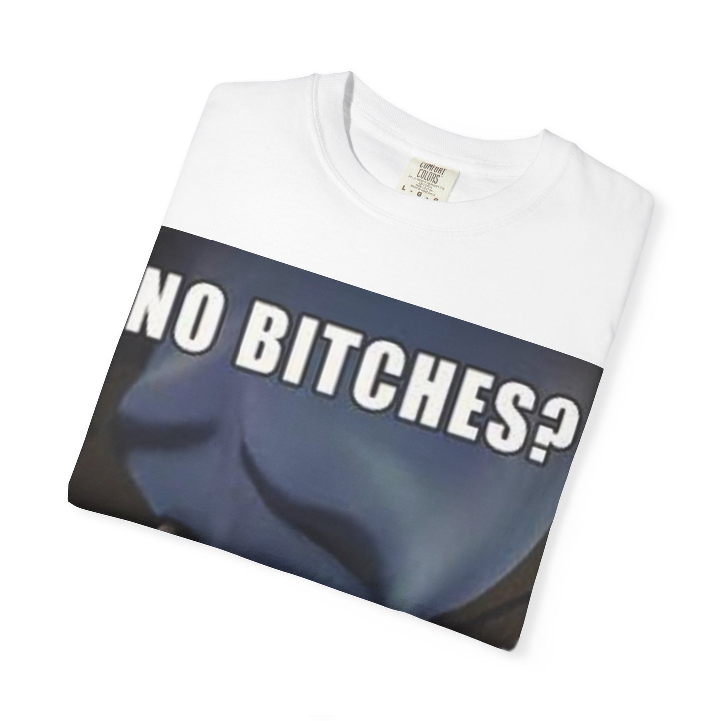 Unisex Humor megamind T-Shirt - No Bitches? Funny Casual Tee, Meme Shirt, Gift for Friends, Comfy Everyday Wear, Ideal for Casual Events