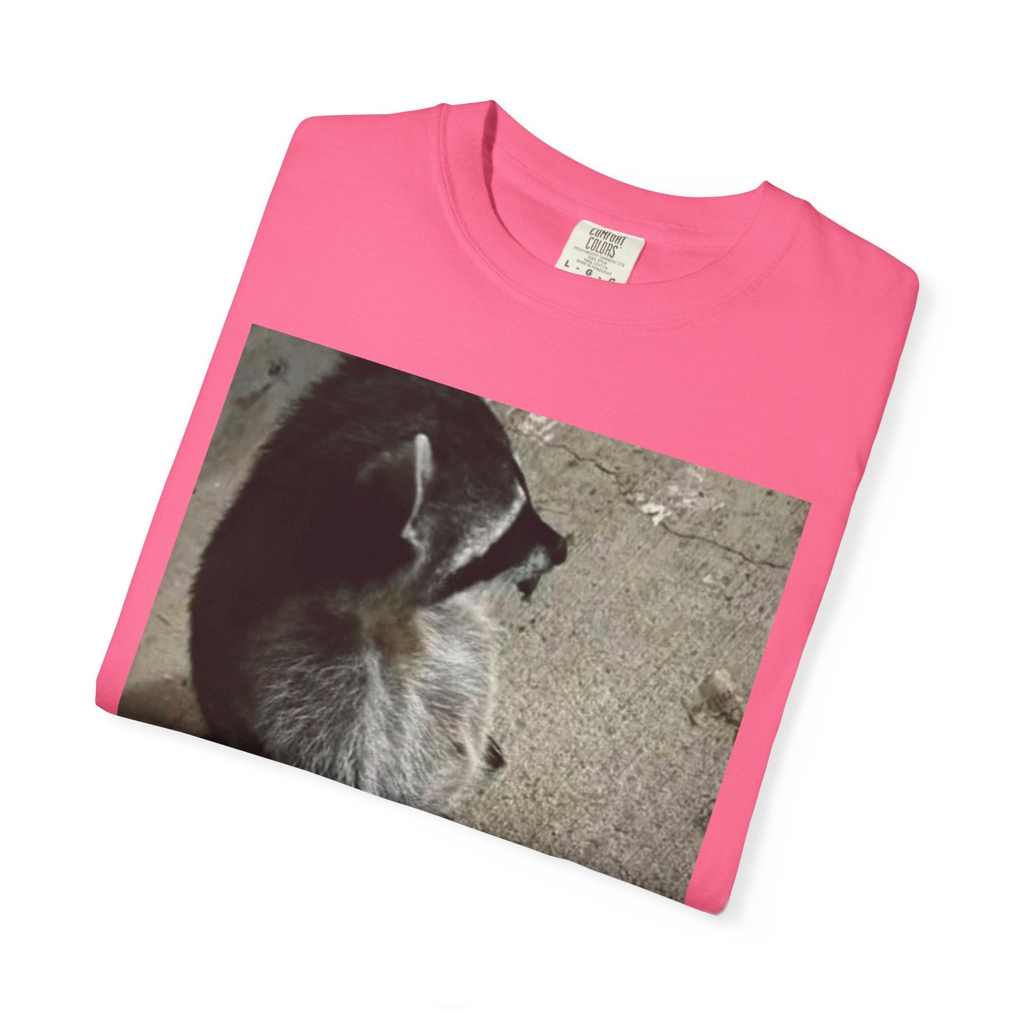 Raccoon Friend T-shirt