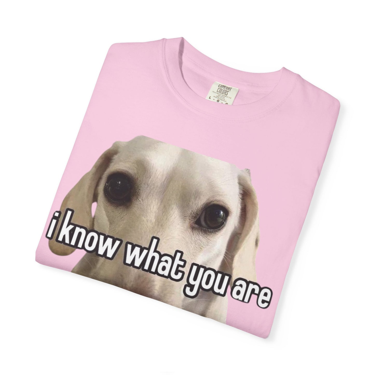 Garment-Dyed T-shirt - I know what you are