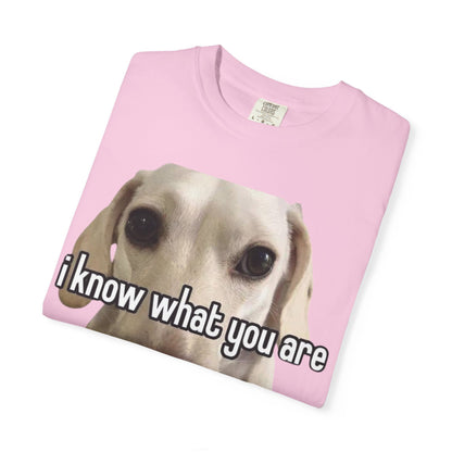 Garment-Dyed T-shirt - I know what you are