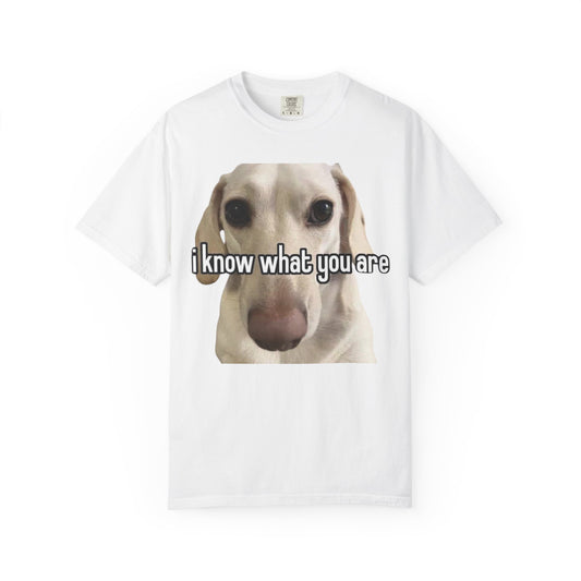 Garment-Dyed T-shirt - I know what you are