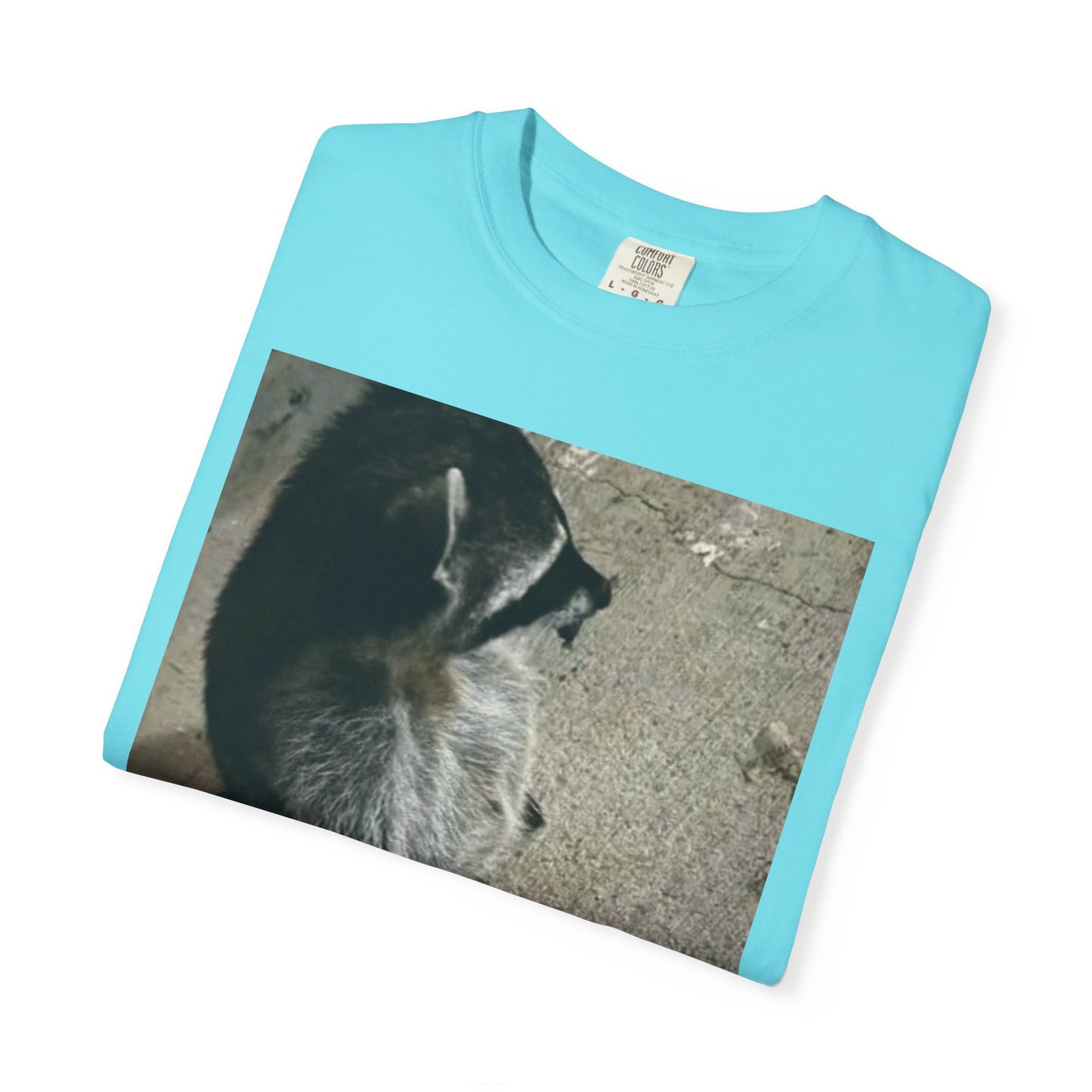Raccoon Friend T-shirt