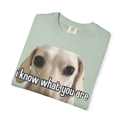 Garment-Dyed T-shirt - I know what you are