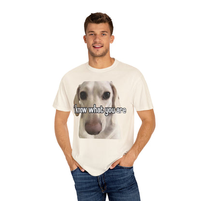 Garment-Dyed T-shirt - I know what you are