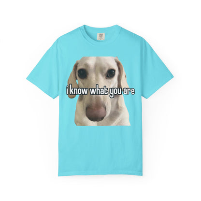 Garment-Dyed T-shirt - I know what you are