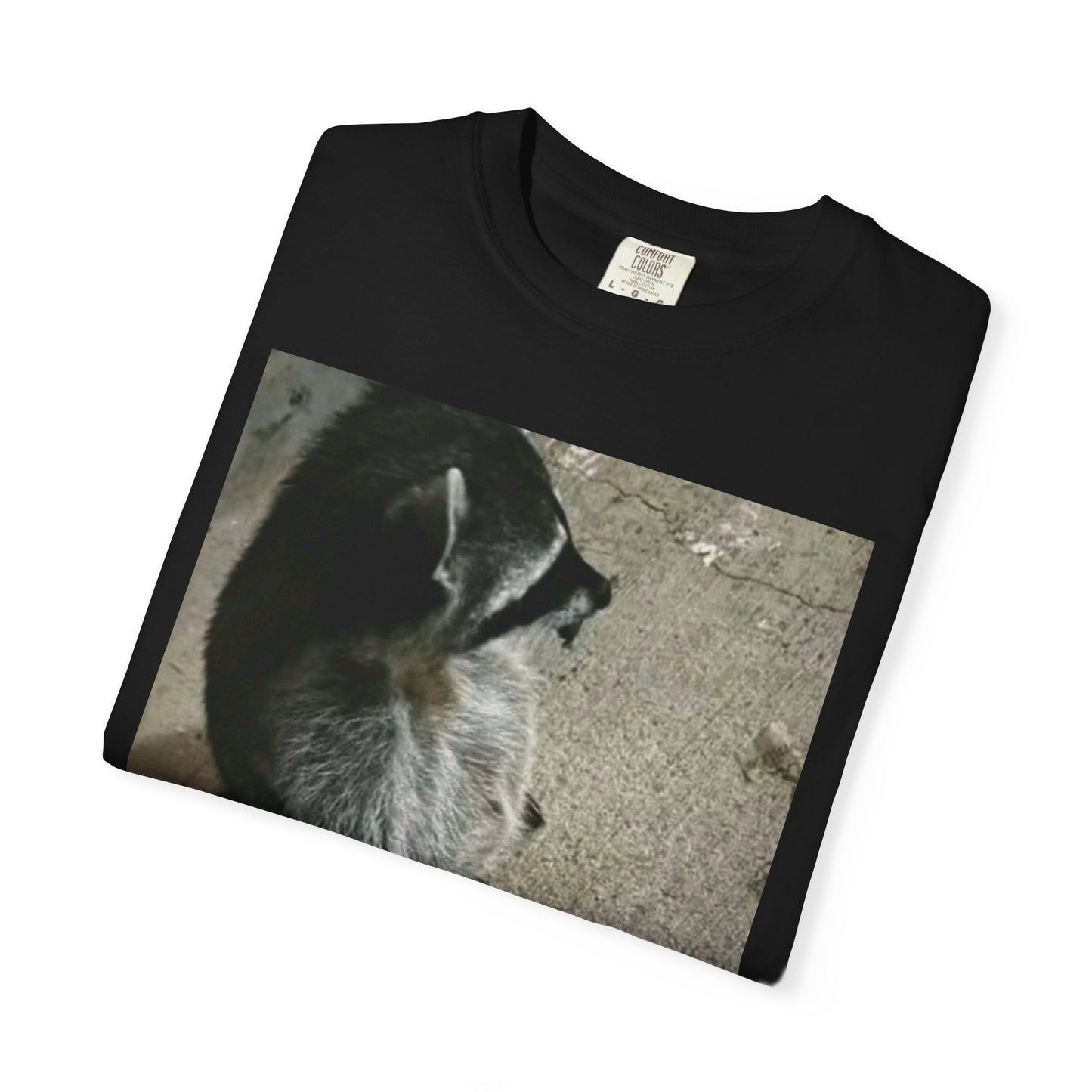 Raccoon Friend T-shirt