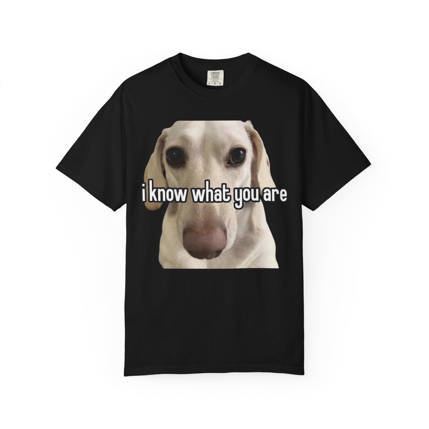 Garment-Dyed T-shirt - I know what you are