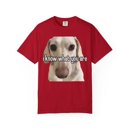 Garment-Dyed T-shirt - I know what you are