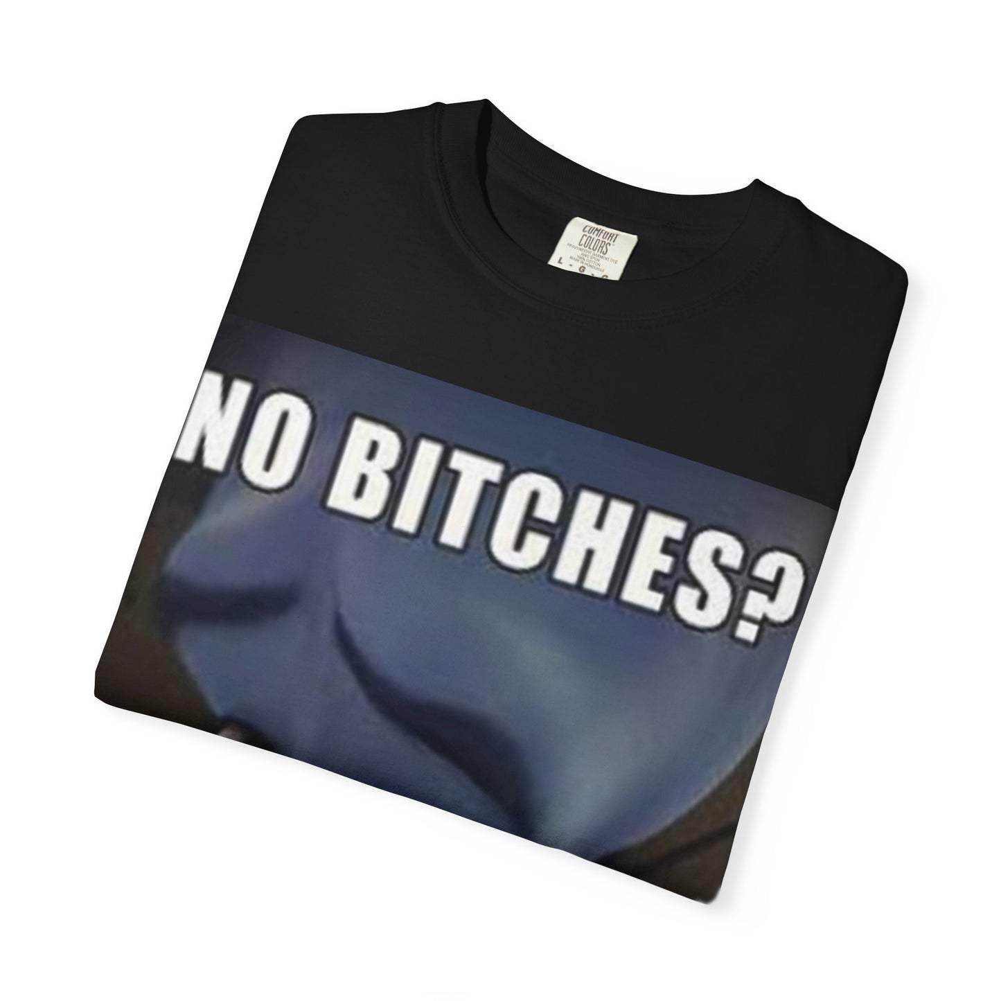 Unisex Humor megamind T-Shirt - No Bitches? Funny Casual Tee, Meme Shirt, Gift for Friends, Comfy Everyday Wear, Ideal for Casual Events