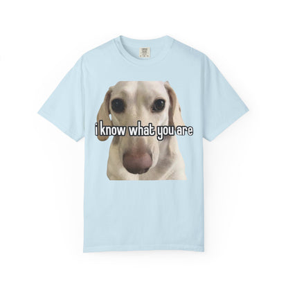 Garment-Dyed T-shirt - I know what you are