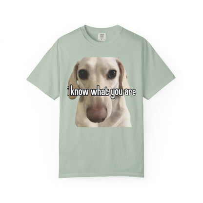 Garment-Dyed T-shirt - I know what you are